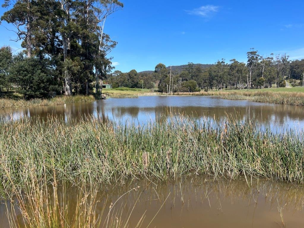 43 Turkey Farm Road, Glengarry TAS 7275 Farm for Sale Domain