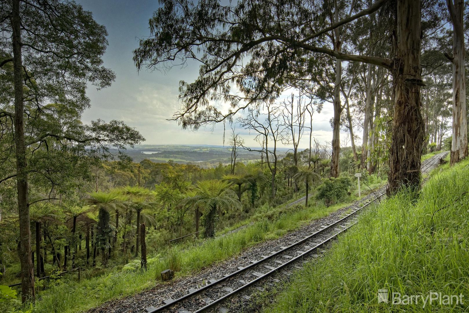50 Menzies Road, Menzies Creek VIC 3159 Domain