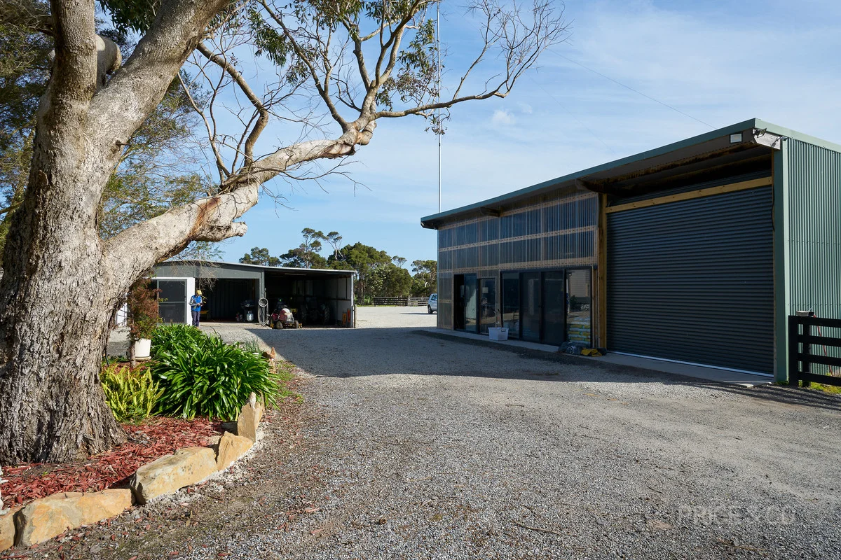 Image 15