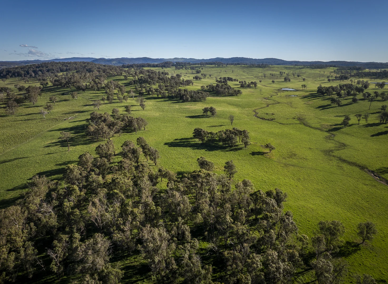 Additional image 13 of 161 Hickeys Road, Wongwibinda NSW 2350