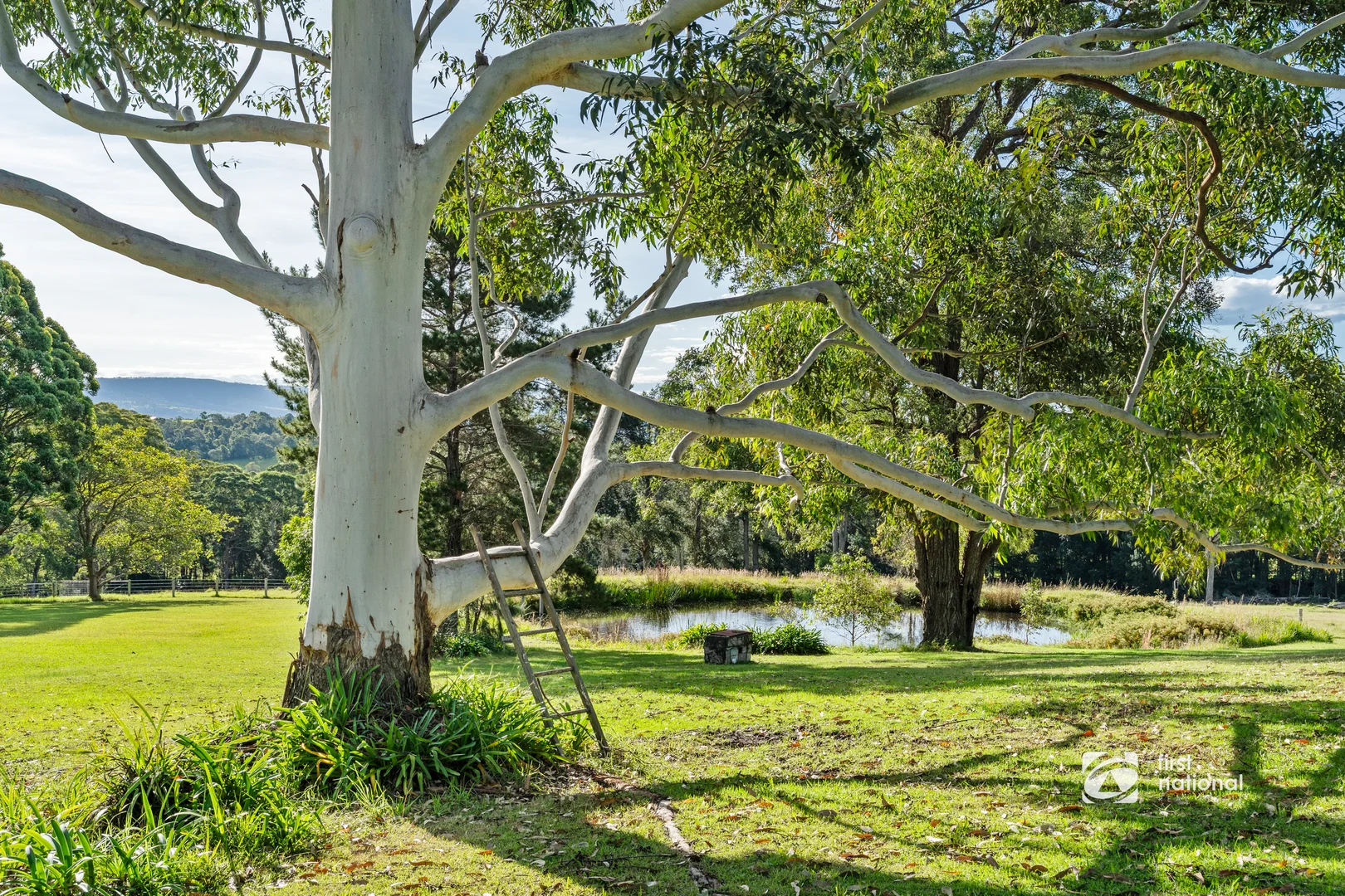 Additional image 22 of 3C Tallow Wood Road, Woodstock NSW 2538