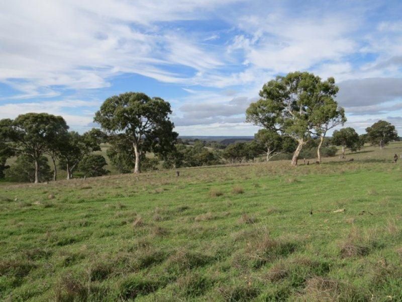 Lot 13 Wiles Fire Track, Wistow SA 5251, Image 2