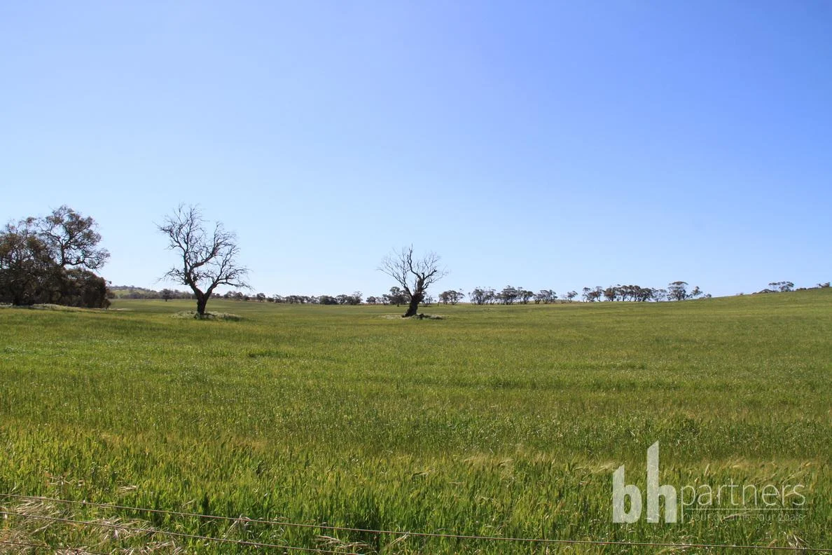 Additional image 15 of Section 332 and Section 330 & 405 Kubenk Road, Rockleigh SA 5254