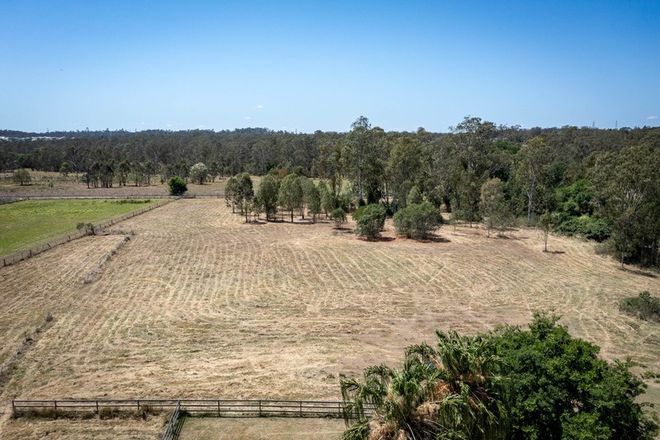 86 Stafford Street Silkstone 4304 - Image 6