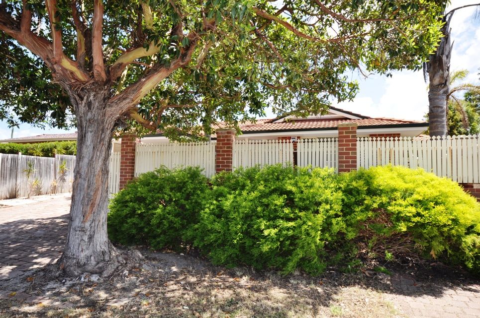 1/409 Hector Street, Yokine WA 6060, Image 0