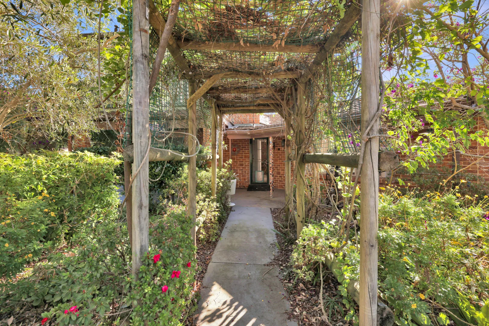 Image 3