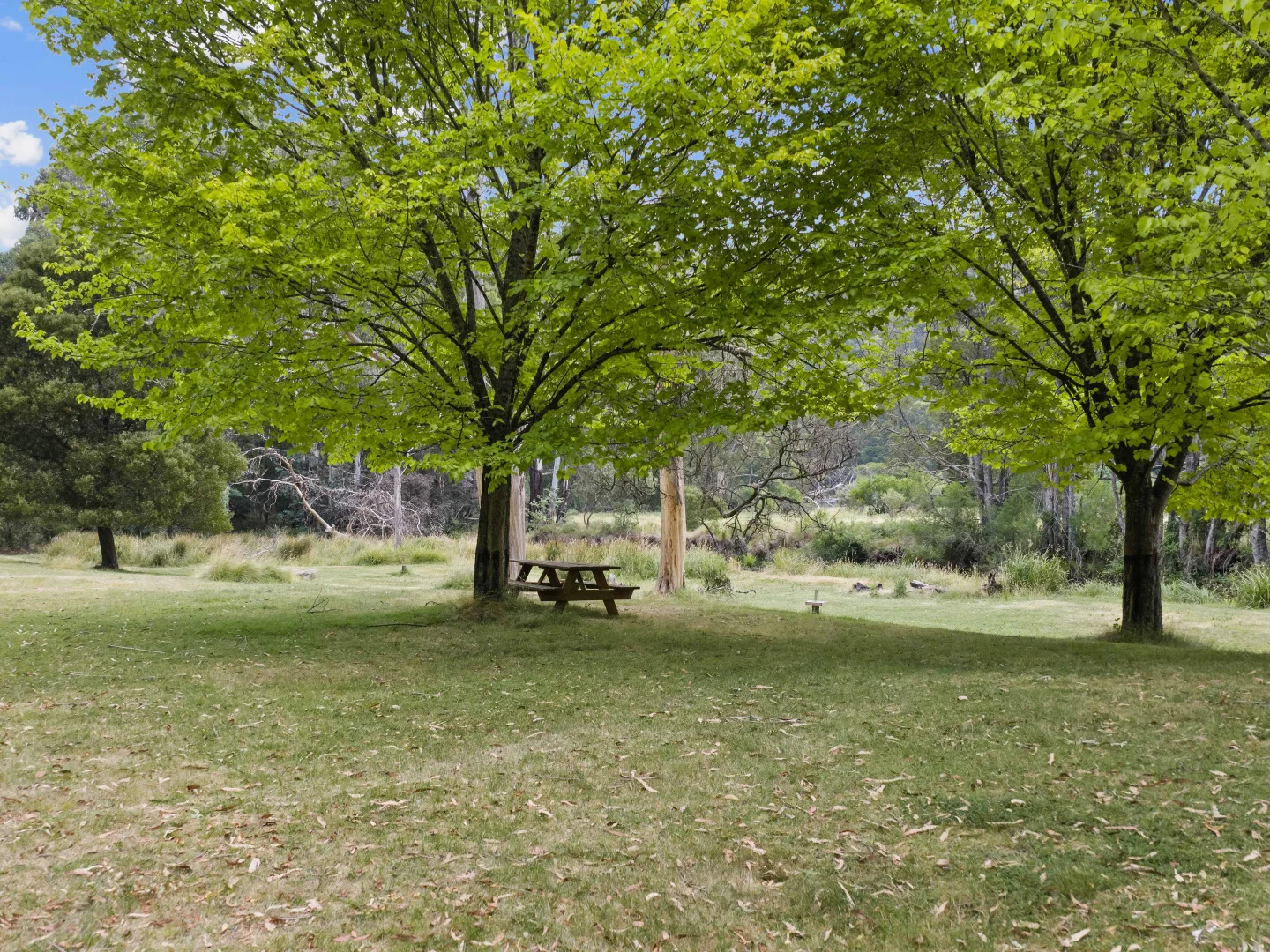 Image 20
