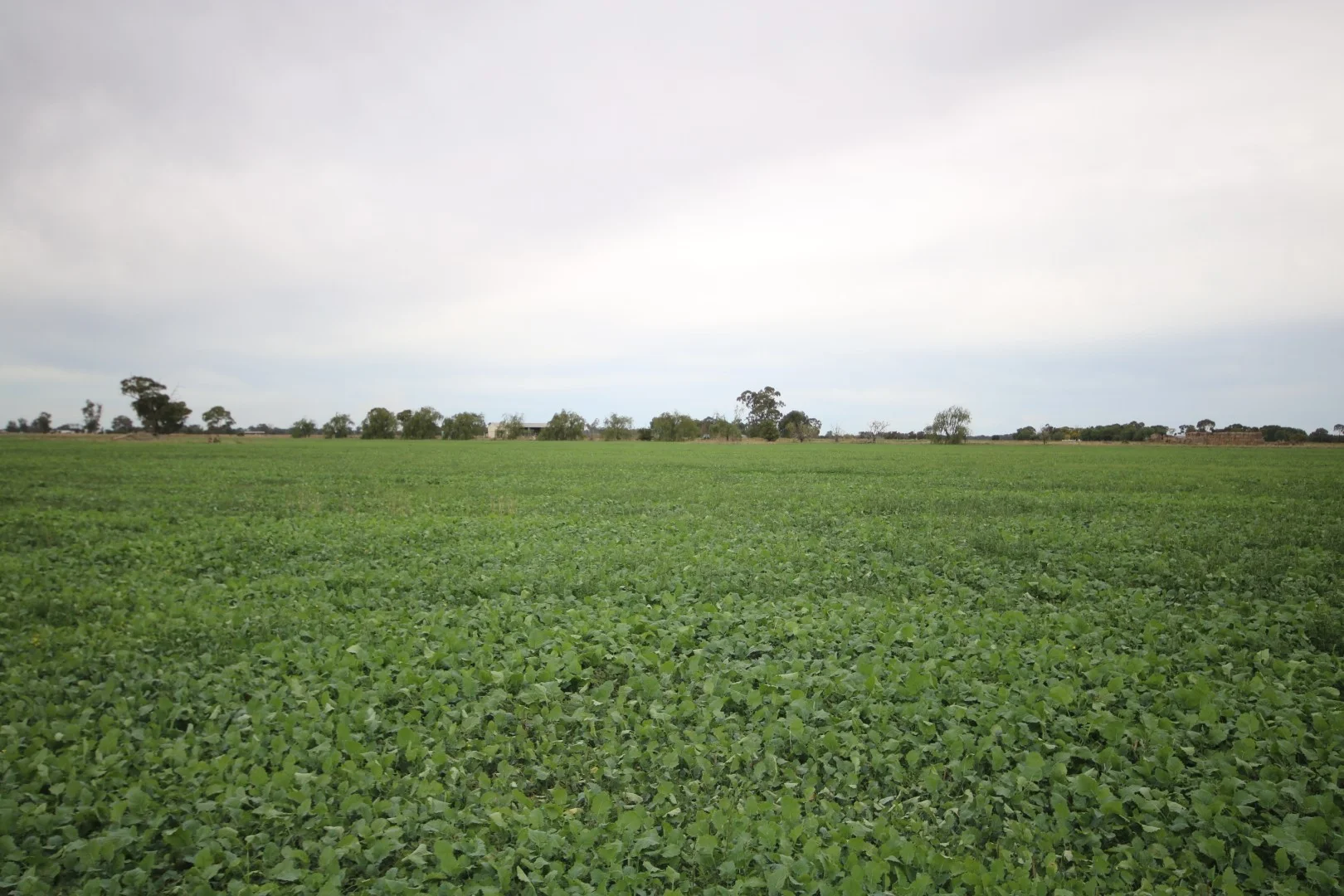 34 Stone Lane, Rochester VIC 3561