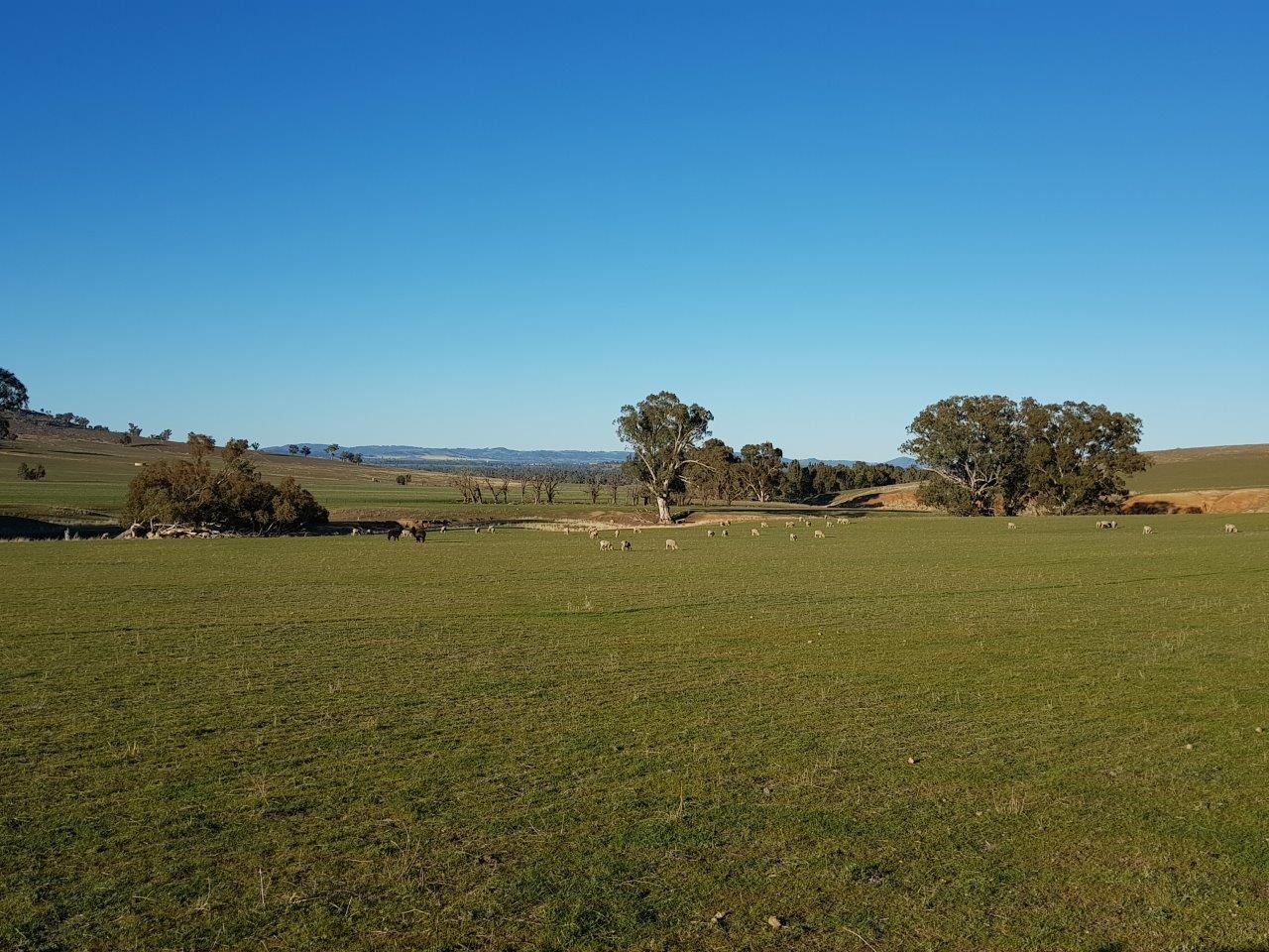 200 Wheel Of Fortune Road, Wagga Wagga NSW 2650, Image 0