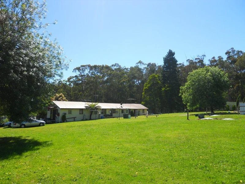 Image 15