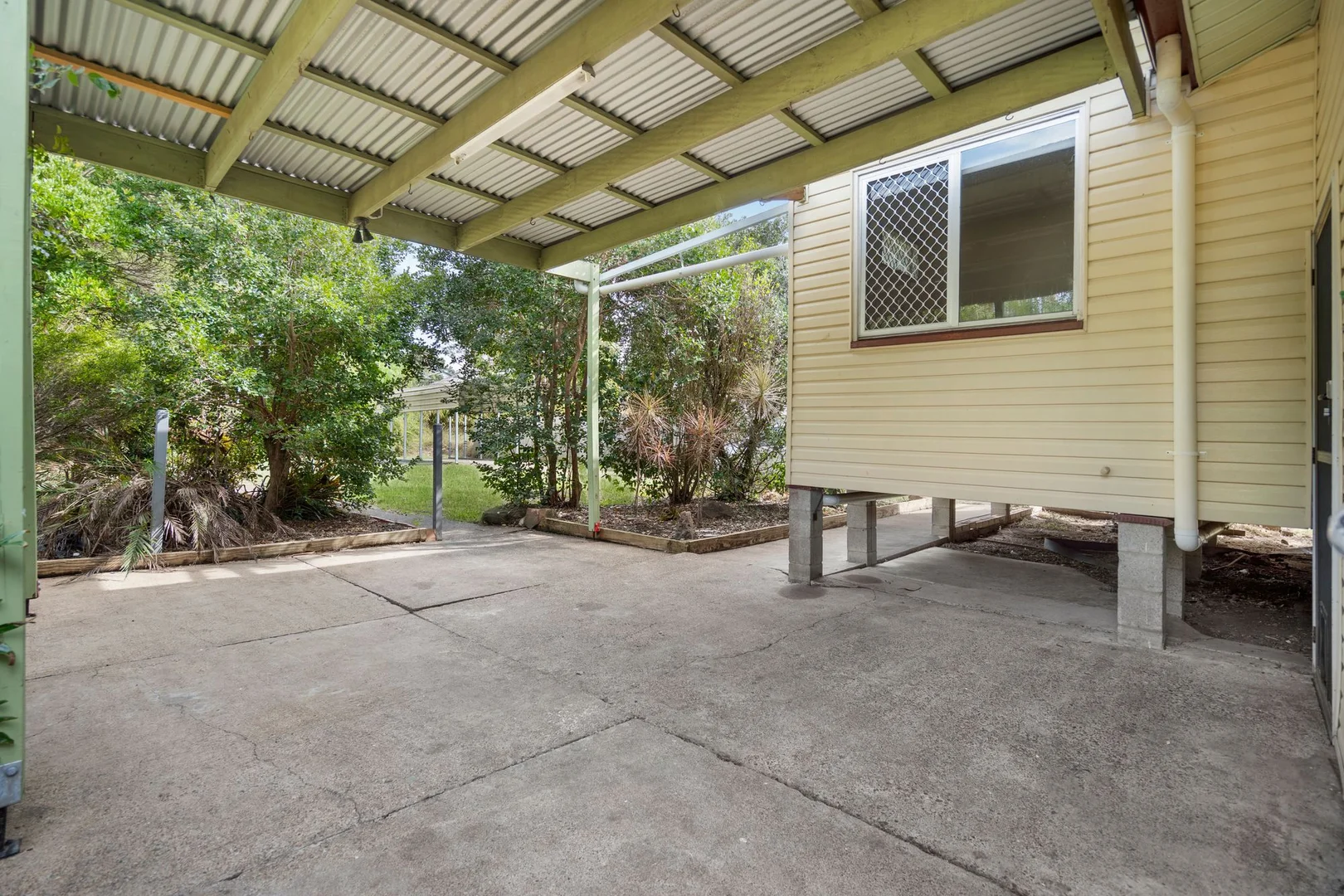 Image 15