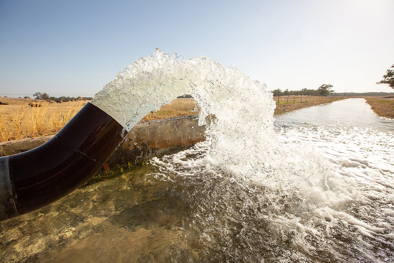 #12024 Water Licence, Kingston Se SA 5275, Image 0