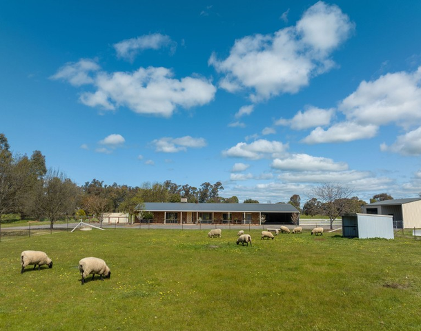 3858 Murchison-Violet Town Road, Violet Town VIC 3669