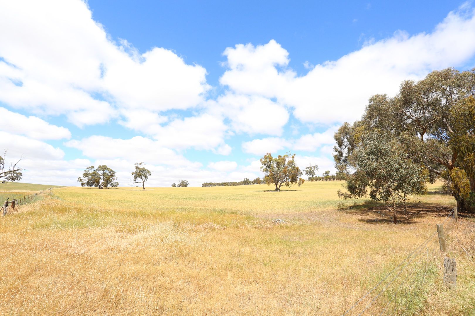 Lot 5 Koorama Road, Clare SA 5453, Image 1