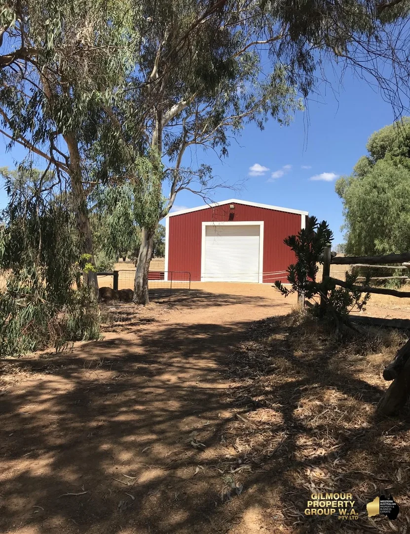 Image 19