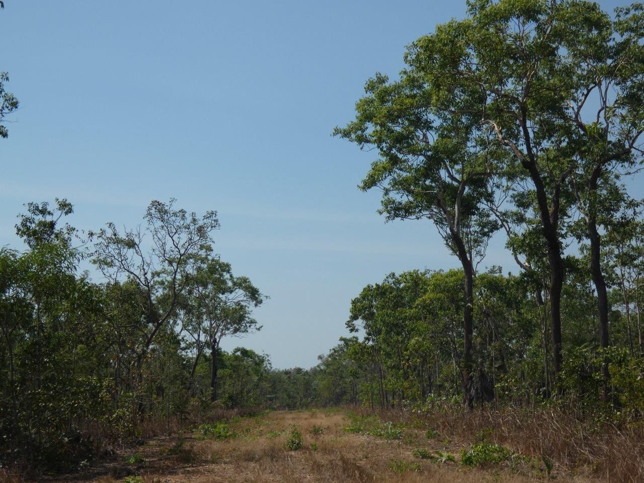 Vacant land in Mielang Road, BLACKMORE NT, 0822