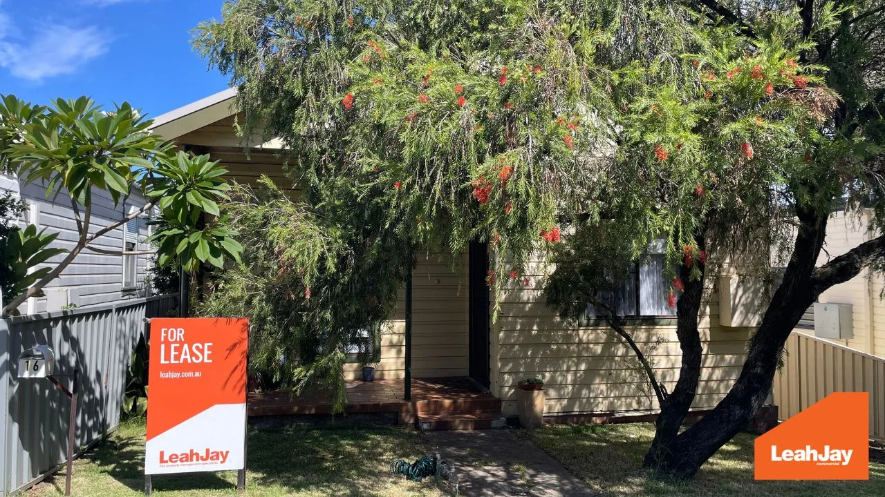 16 Cross Street, Mayfield NSW 2304