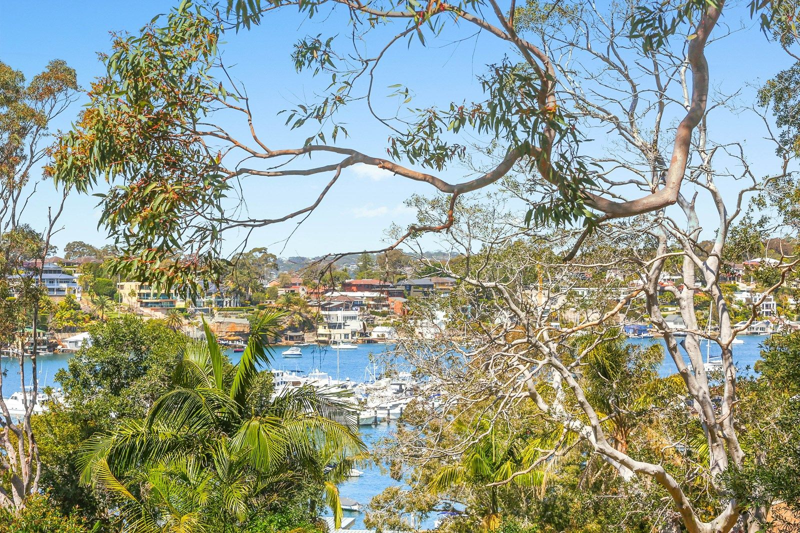 46a Water Street, Caringbah South NSW 2229, Image 2