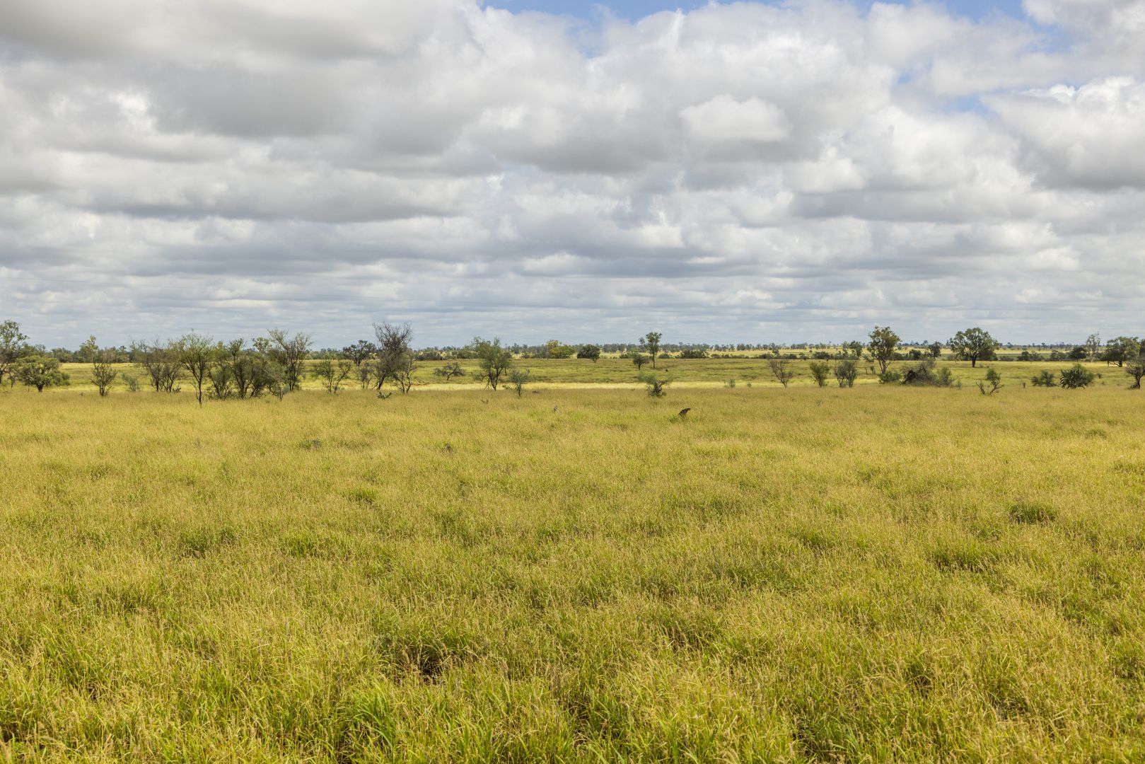205 Redbank Road, Roma QLD 4455 House for Sale 7,100,000