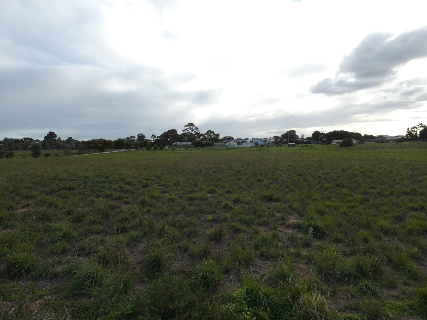 Lot 970 Pangarinda Road, Wellington East SA 5259, Image 2