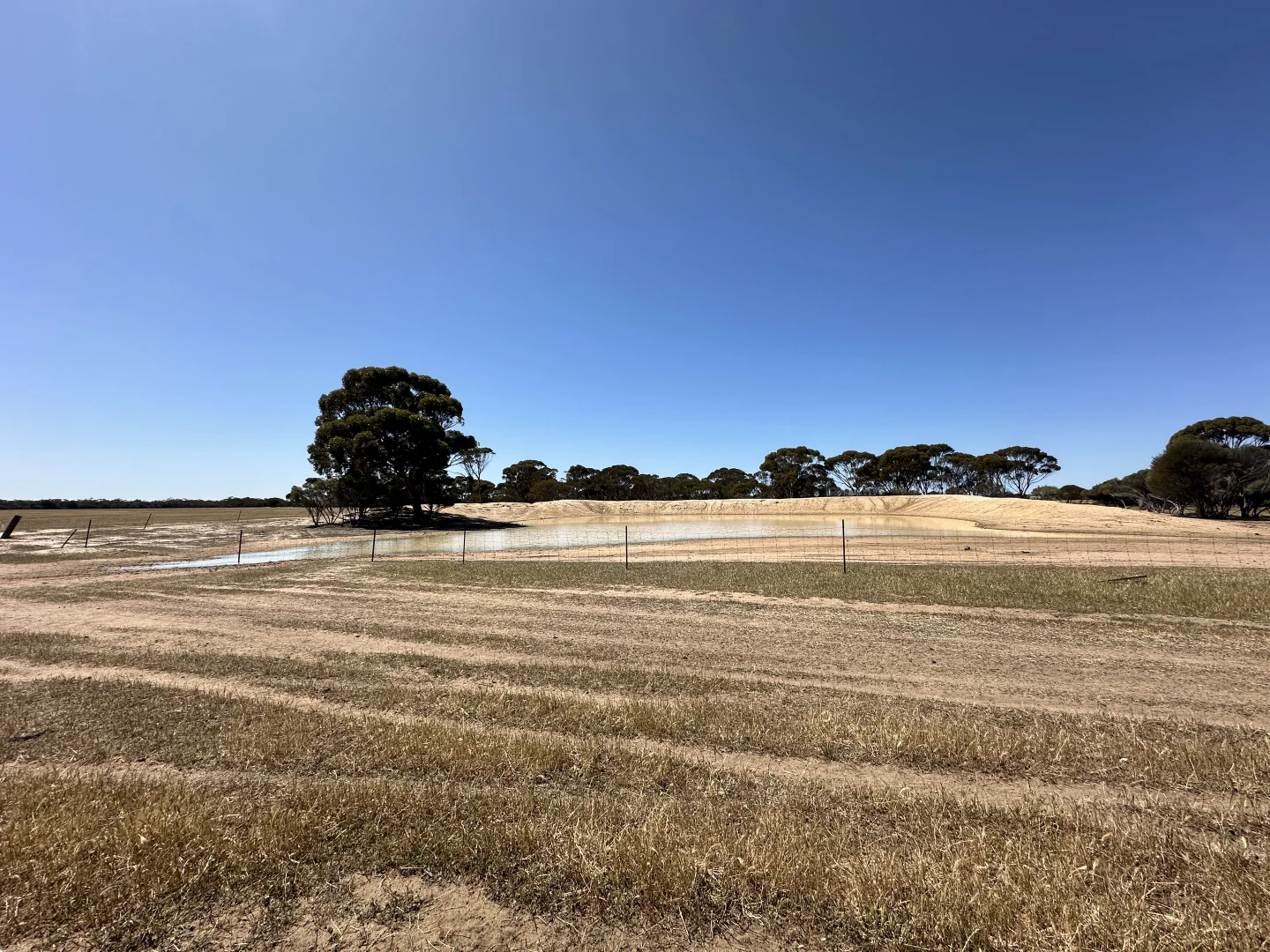 Image 14