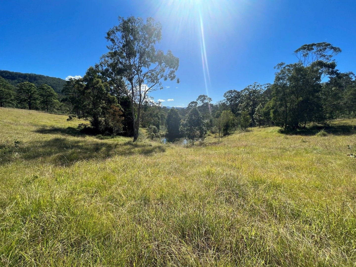 Wherrol Flat NSW 2429, Image 0