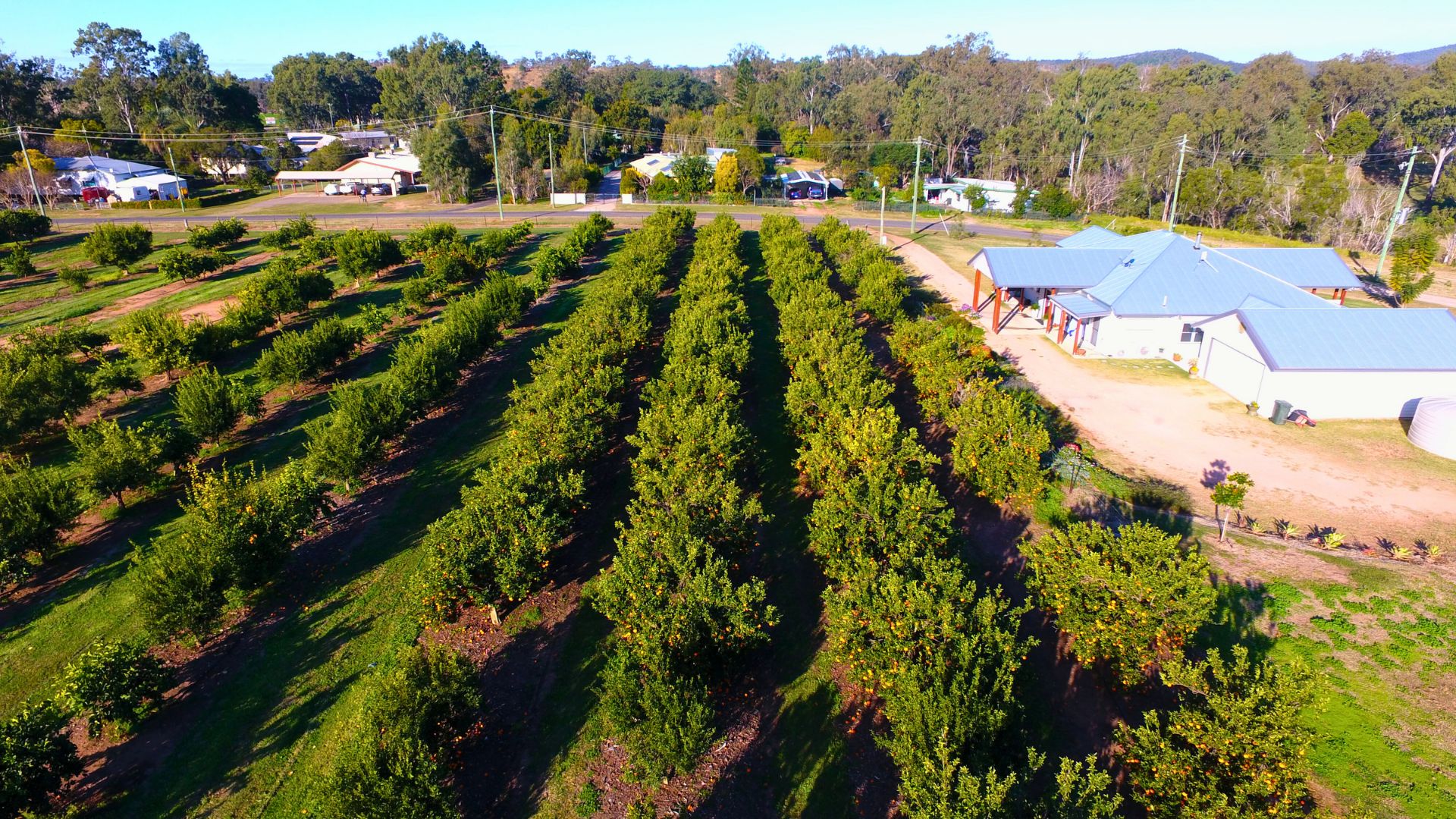 L14 Winifred Cobbo Street, Gayndah QLD 4625, Image 2