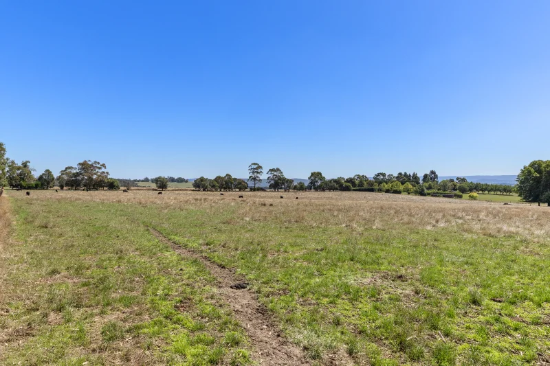 Additional image 13 of 12 Maddens Lane, Coldstream VIC 3770