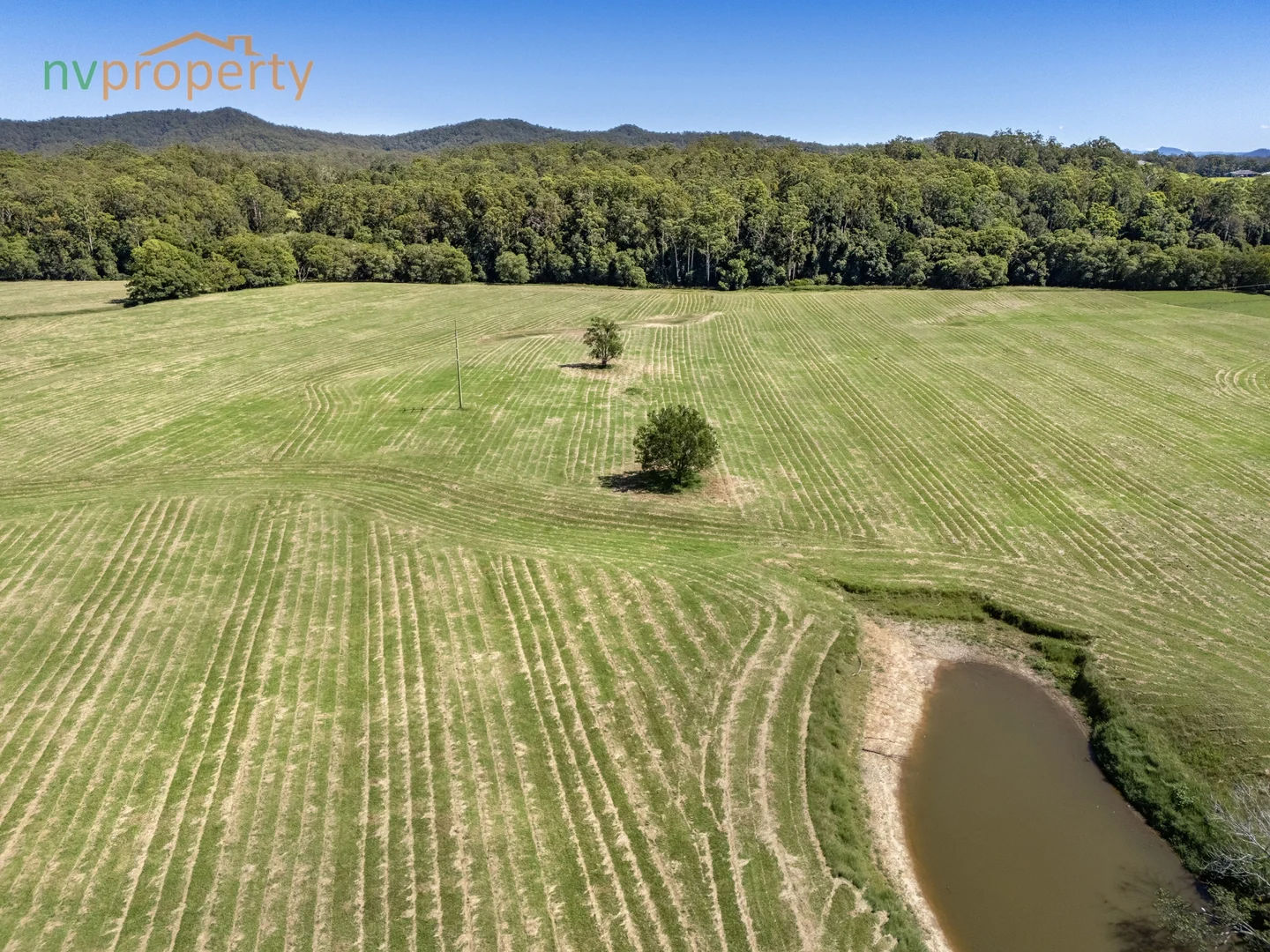 Additional image 8 of 119 Giinagay Way, Warrell Creek NSW 2447