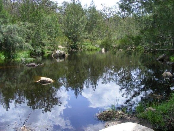 Picture of LittleGlen/. Bishops Road, RED RANGE NSW 2370