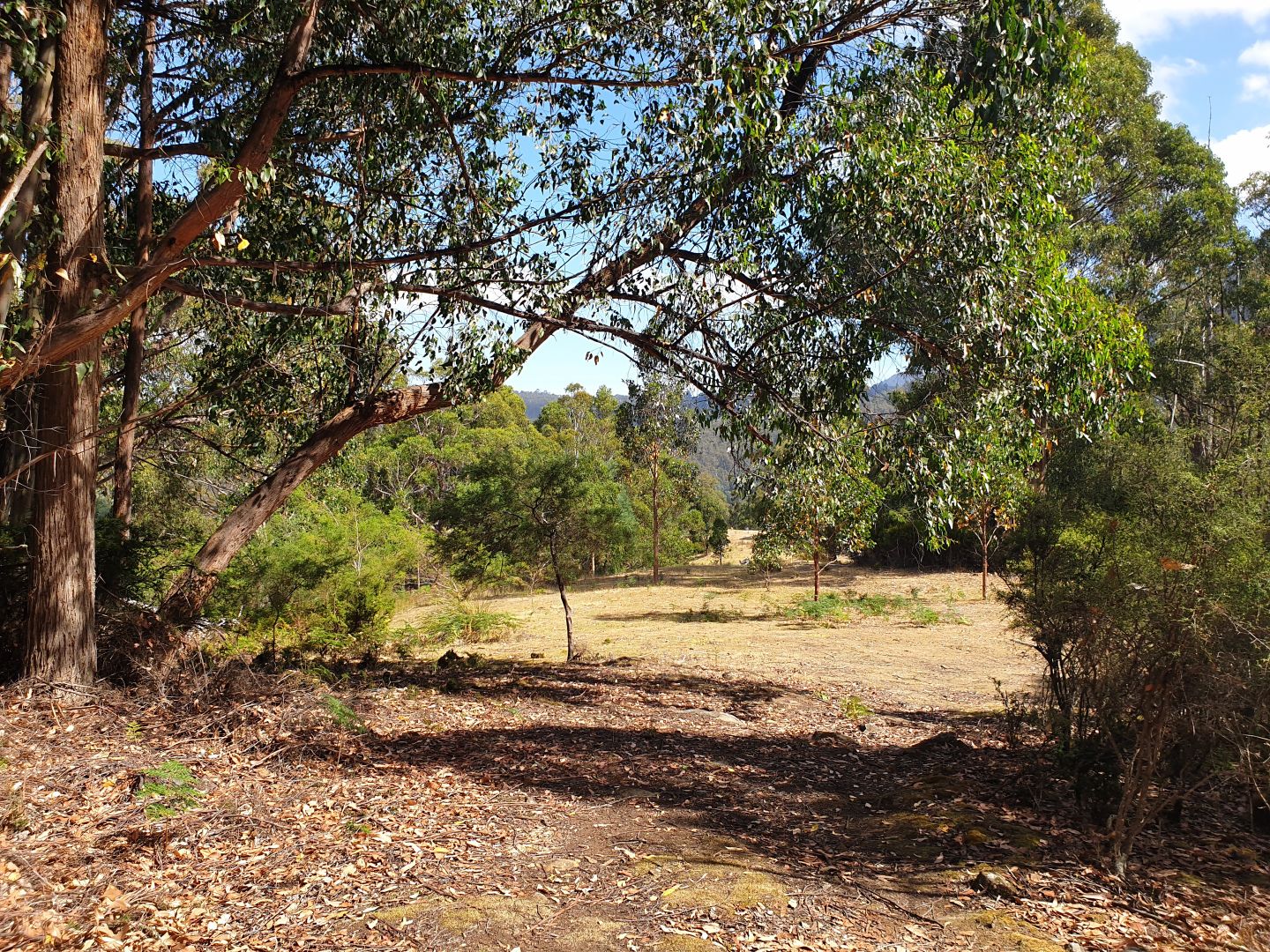 Lot 5 Liddells Road, Crabtree TAS 7109, Image 2