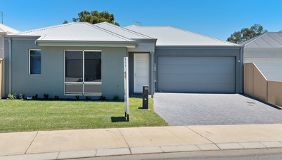 Picture of 55 Ashcroft Loop, WATTLE GROVE WA 6107