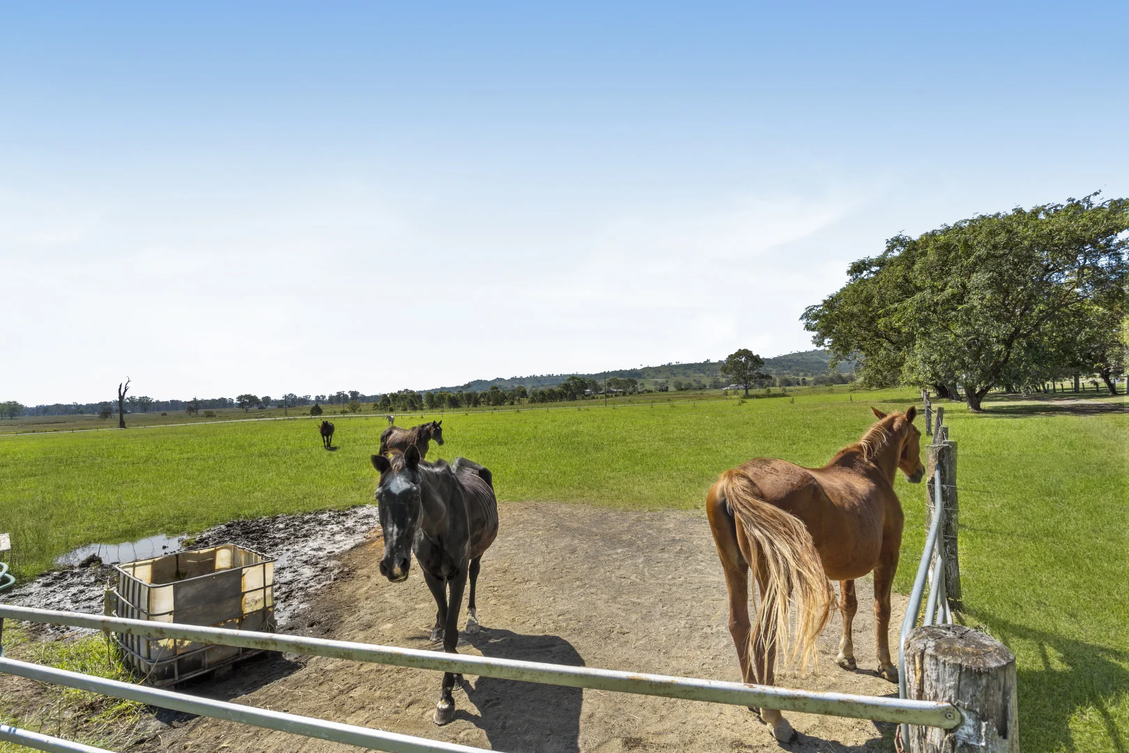 Additional image 18 of 363 Round Mountain Road, Laravale QLD 4285