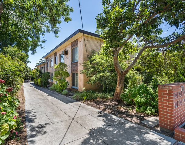 1/77A Lockwood Road, Burnside SA 5066