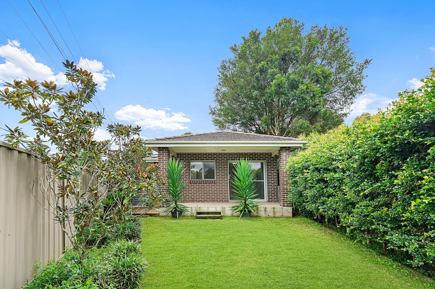 31a Clarke Road, Waitara NSW 2077 House For Rent Domain