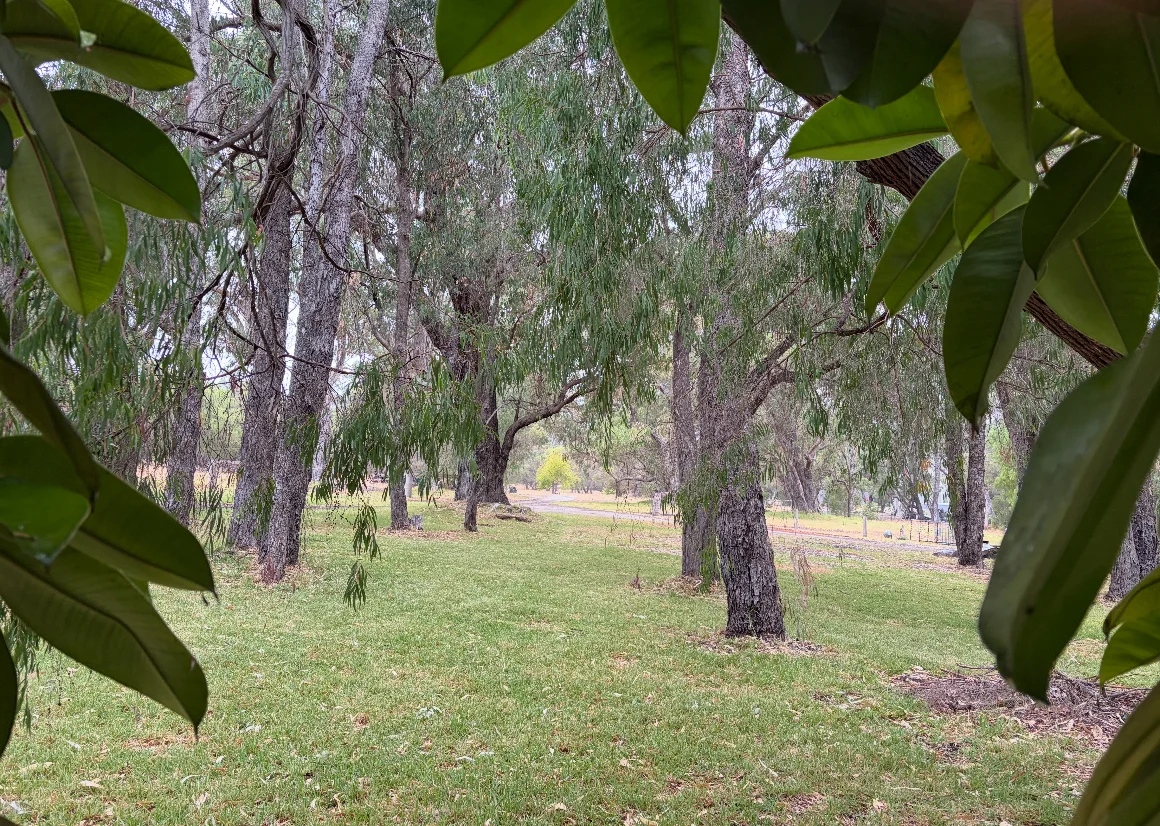 Additional image 15 of 74 Newnham Road, Lake Clifton WA 6215