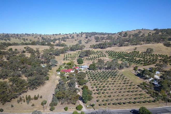 Picture of 1117 Light Pass Road, VINE VALE SA 5352