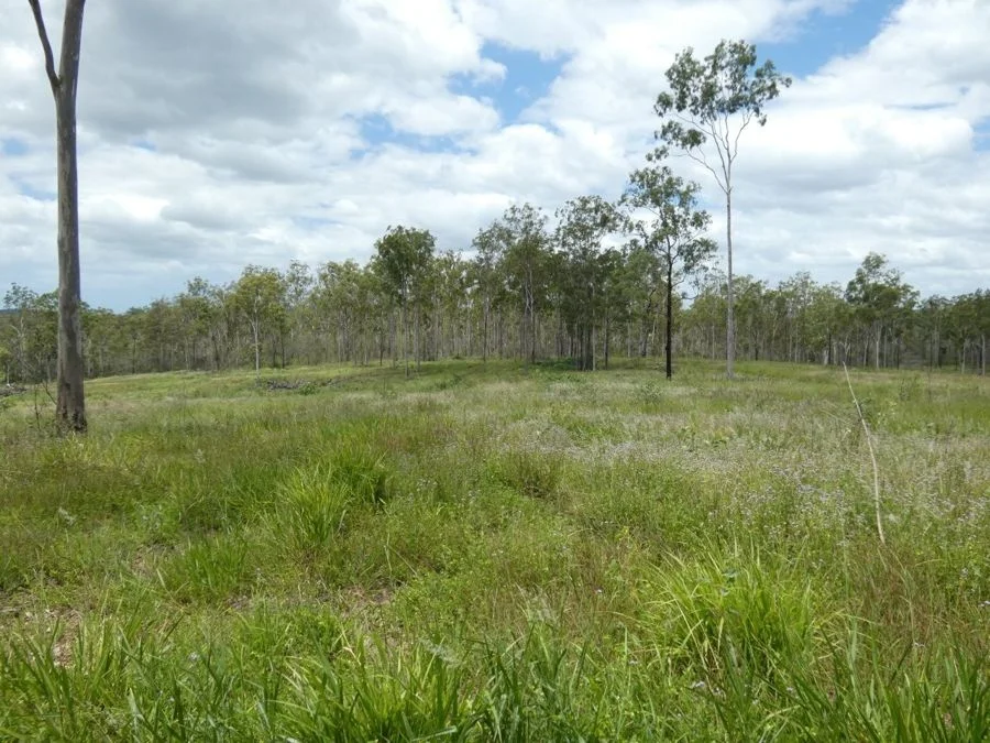Image 18