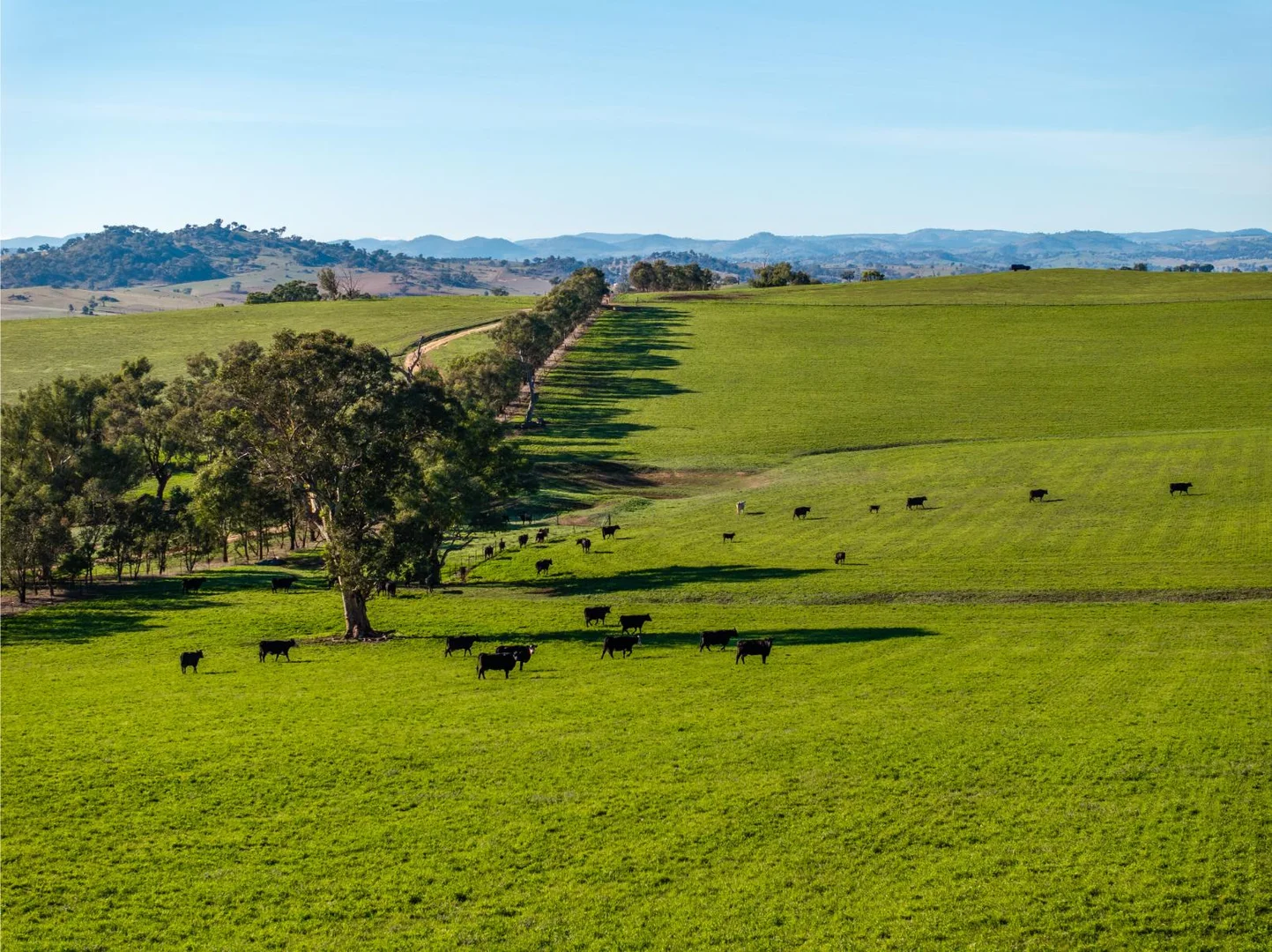 Additional image 17 of 478 Illawong Road, Jugiong NSW 2726