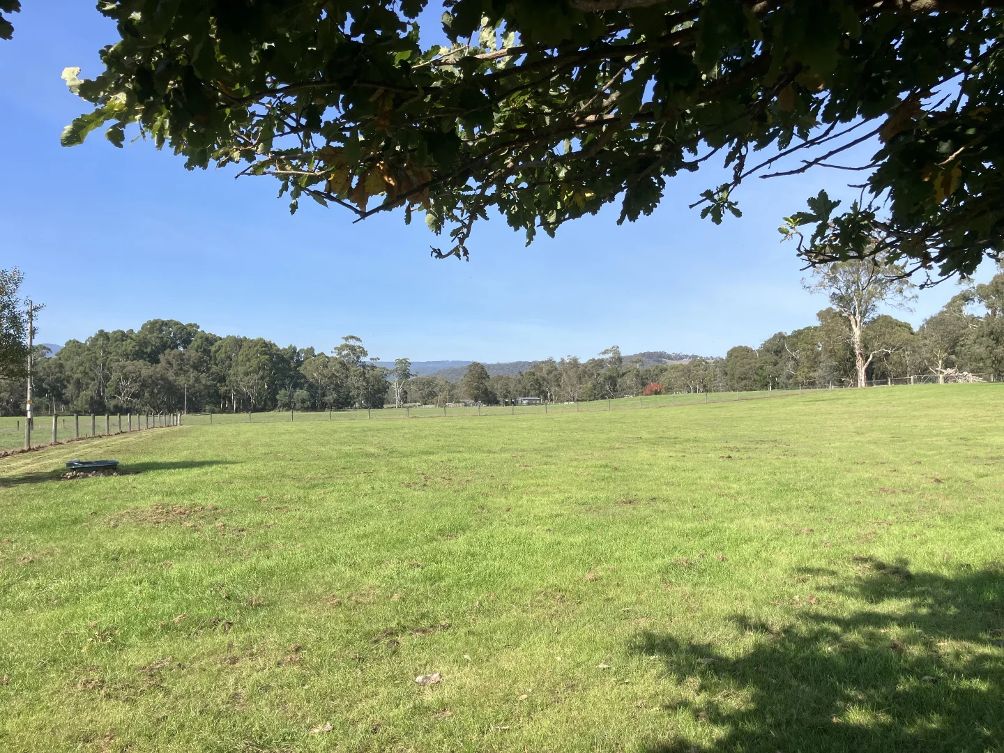 Image 18
