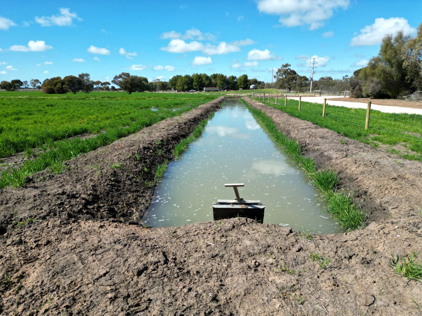 Image 12