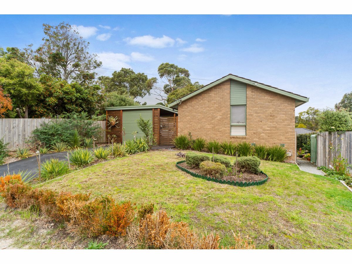 24B Beech Street, Langwarrin VIC 3910, Image 0