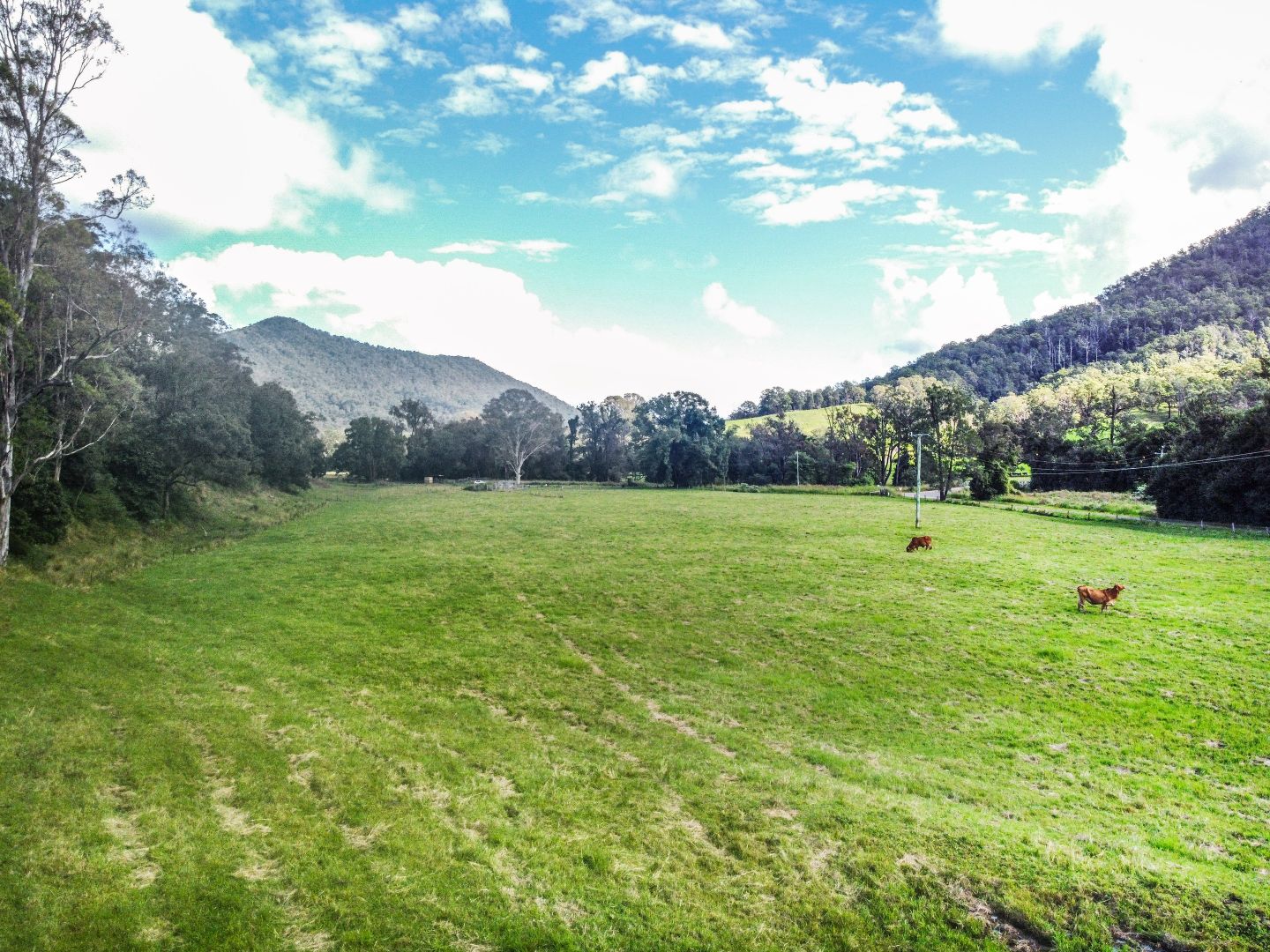 18 Gonpa Road, Collins Creek NSW 2474 House for Sale 1,100,000