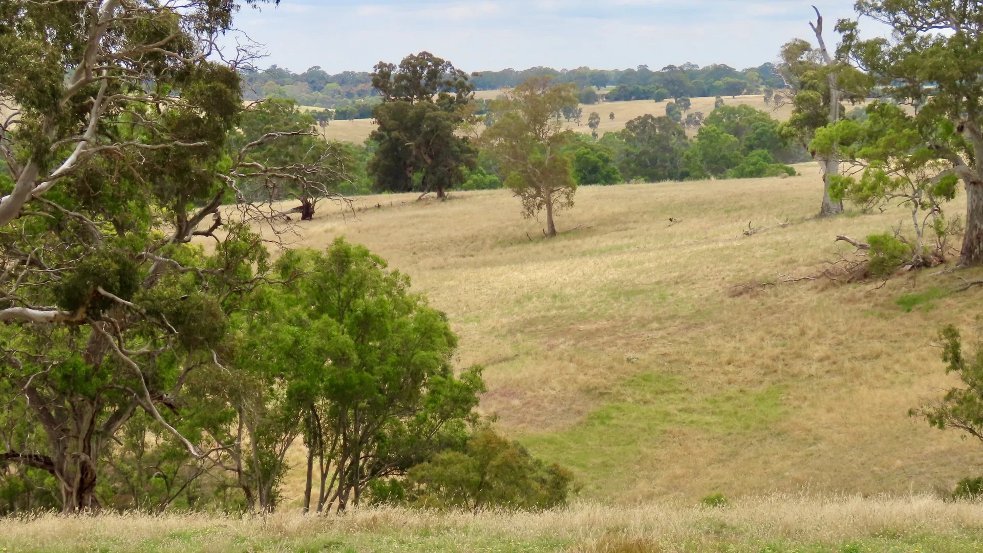 Additional image 10 of 596 Mostyn Lane, Balmoral VIC 3407