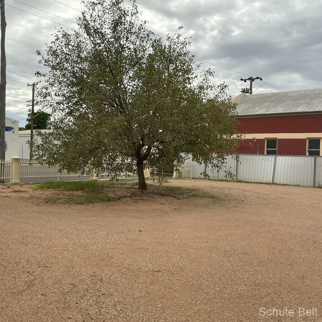 Additional image 21 of 41 Merilba Street, Narromine NSW 2821