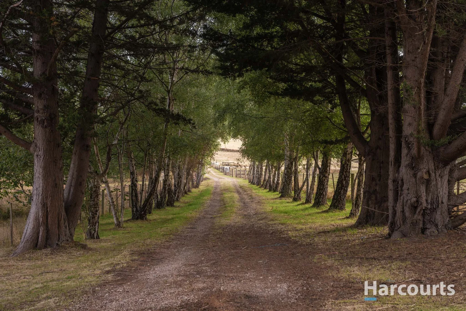 Additional image 21 of 54 Chesneys Road, Dunorlan TAS 7304