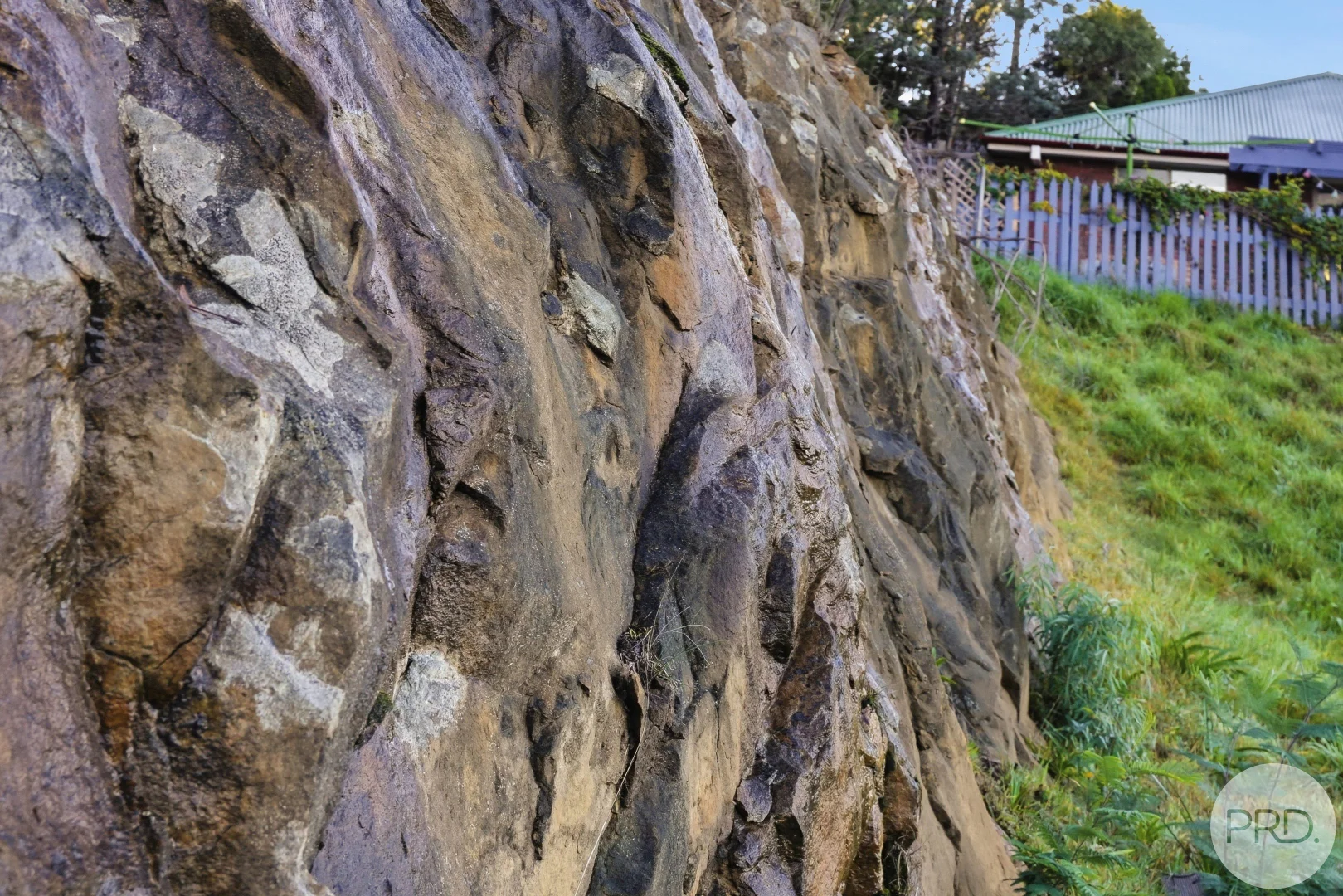 Image 9