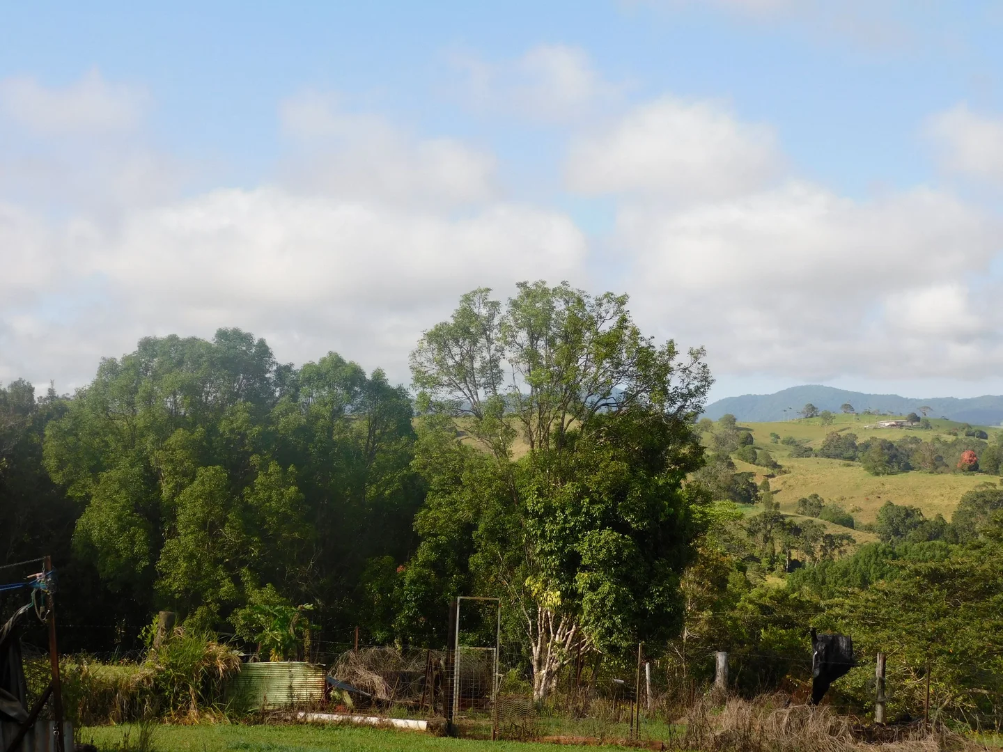 Image 11