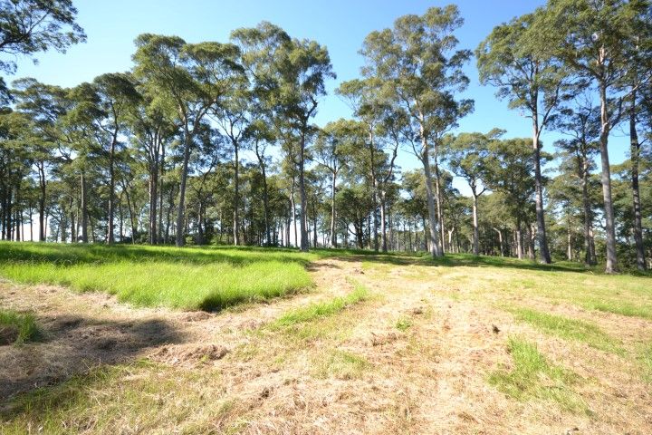 Lot 11 Devitts Lane, MEROO MEADOW NSW 2540, Image 2