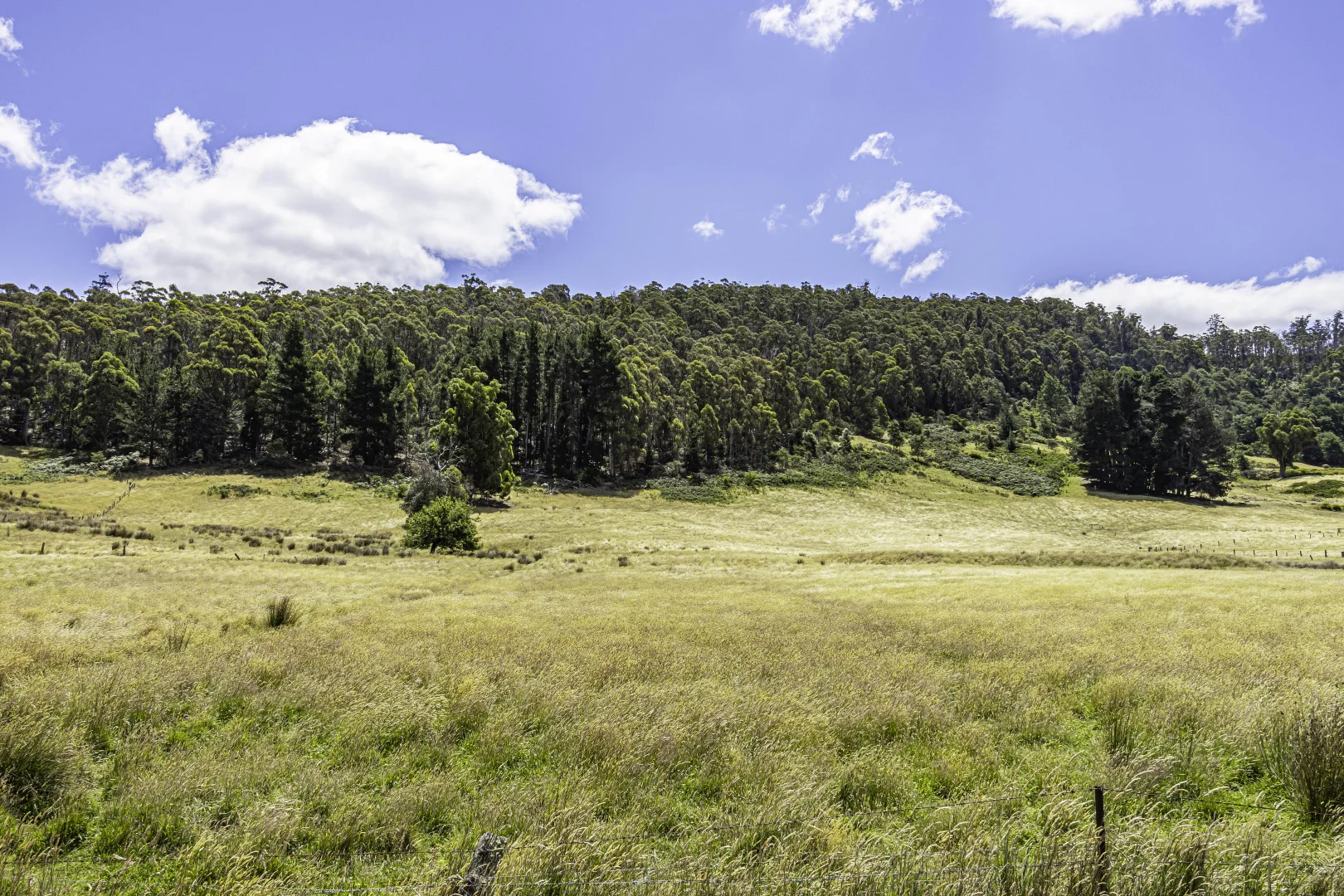 Additional image 15 of 149 & 164 Cross Road, Lucaston TAS 7109